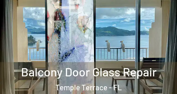 Balcony Door Glass Repair Temple Terrace - FL