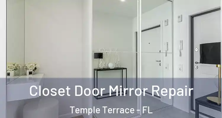 Closet Door Mirror Repair Temple Terrace - FL