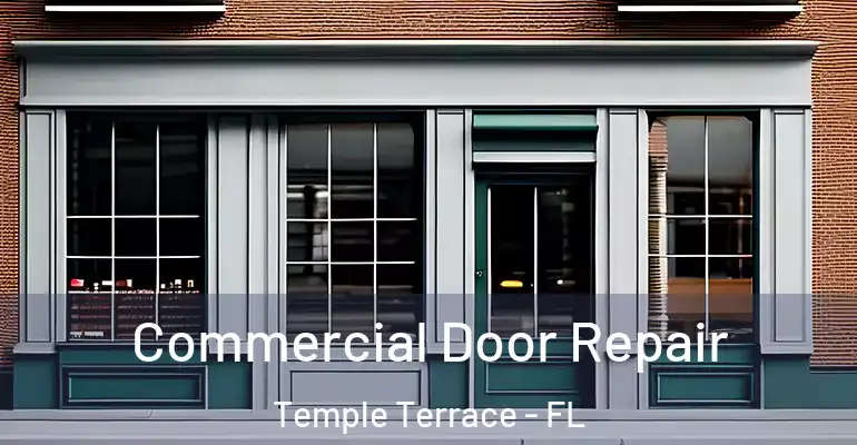 Commercial Door Repair Temple Terrace - FL