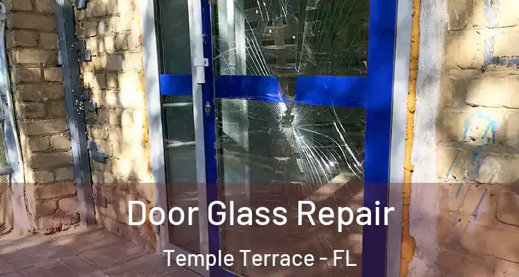 Door Glass Repair Temple Terrace - FL