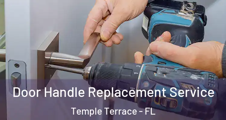 Door Handle Replacement Service Temple Terrace - FL