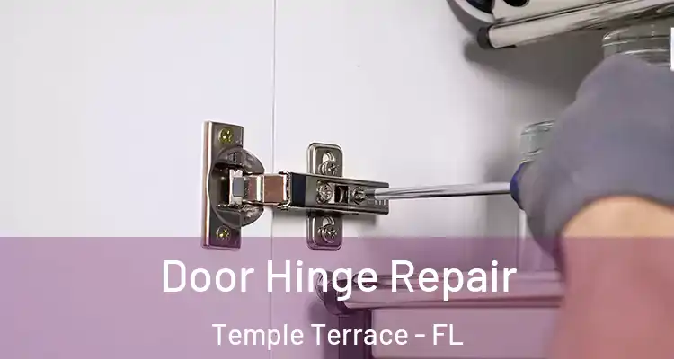 Door Hinge Repair Temple Terrace - FL