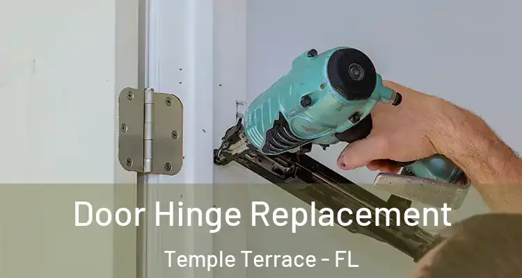 Door Hinge Replacement Temple Terrace - FL