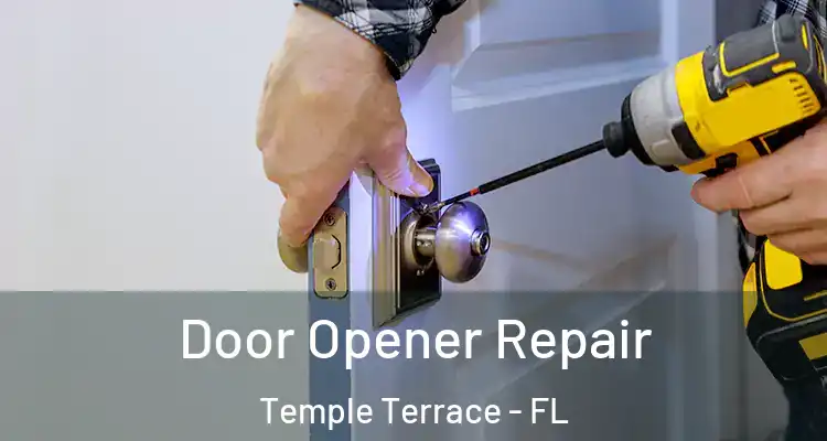 Door Opener Repair Temple Terrace - FL
