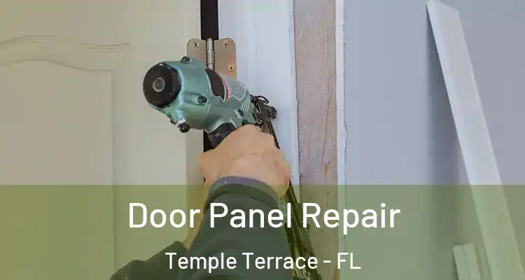 Door Panel Repair Temple Terrace - FL