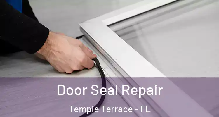 Door Seal Repair Temple Terrace - FL