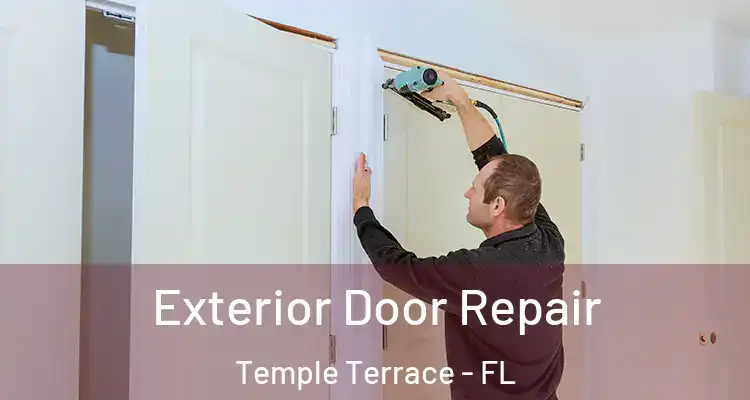 Exterior Door Repair Temple Terrace - FL