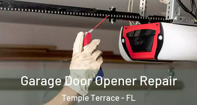 Garage Door Opener Repair Temple Terrace - FL