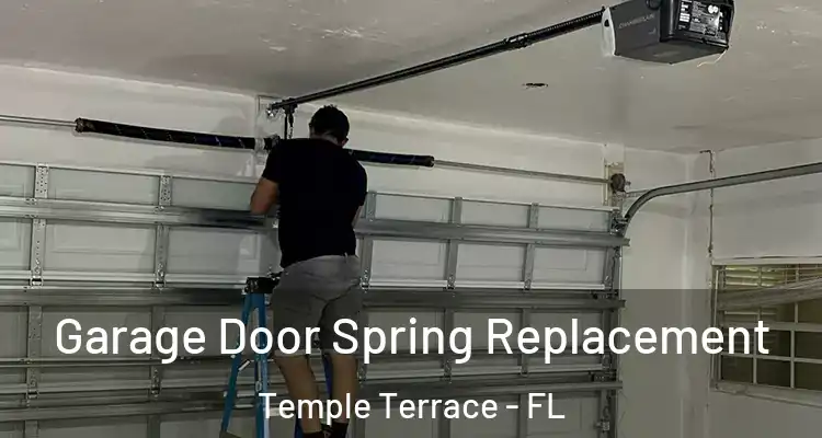 Garage Door Spring Replacement Temple Terrace - FL