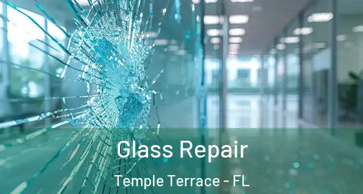 Glass Repair Temple Terrace - FL