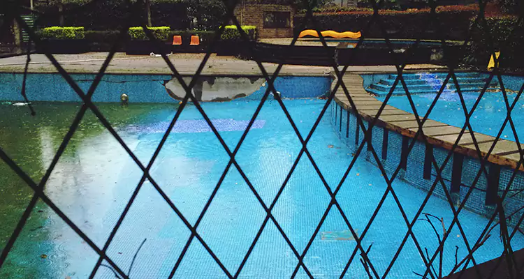 Lanai Screen Repair in Temple Terrace, FL