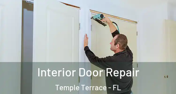 Interior Door Repair Temple Terrace - FL