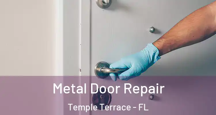 Metal Door Repair Temple Terrace - FL