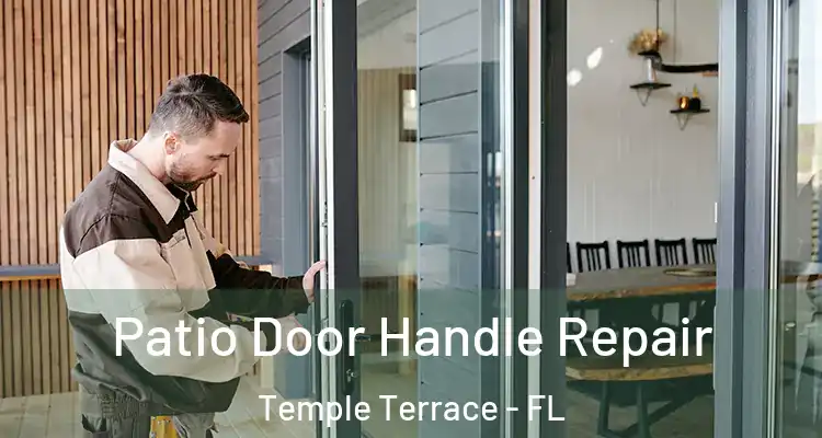 Patio Door Handle Repair Temple Terrace - FL