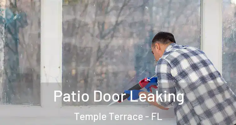 Patio Door Leaking Temple Terrace - FL