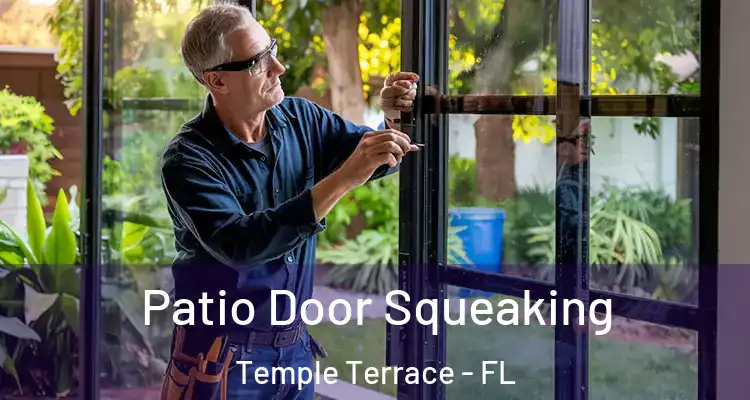 Patio Door Squeaking Temple Terrace - FL