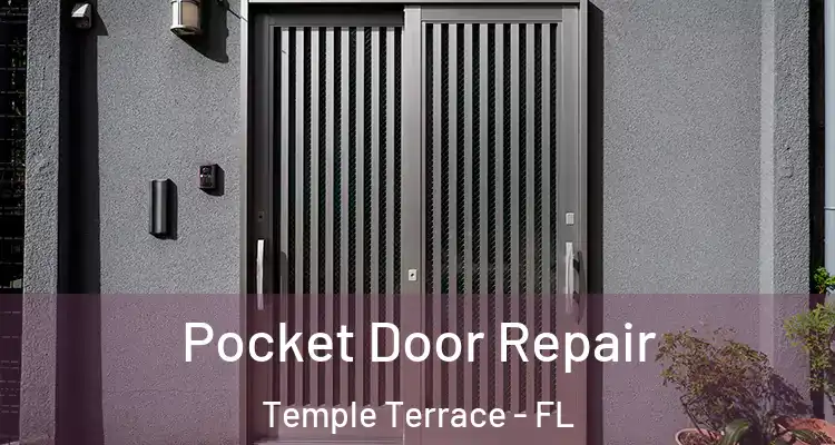 Pocket Door Repair Temple Terrace - FL