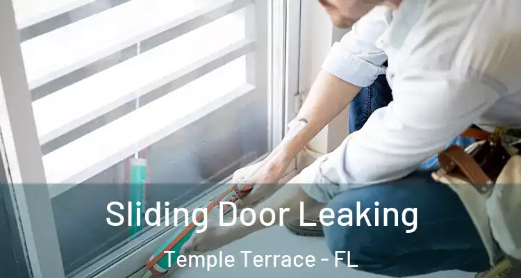 Sliding Door Leaking Temple Terrace - FL