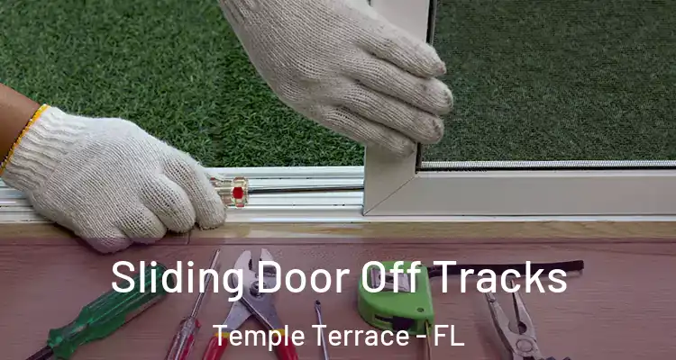 Sliding Door Off Tracks Temple Terrace - FL