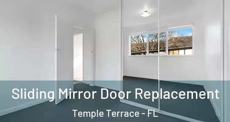 Sliding Mirror Door Replacement Temple Terrace - FL