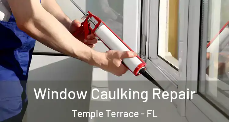 Window Caulking Repair Temple Terrace - FL