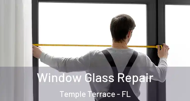 Window Glass Repair Temple Terrace - FL
