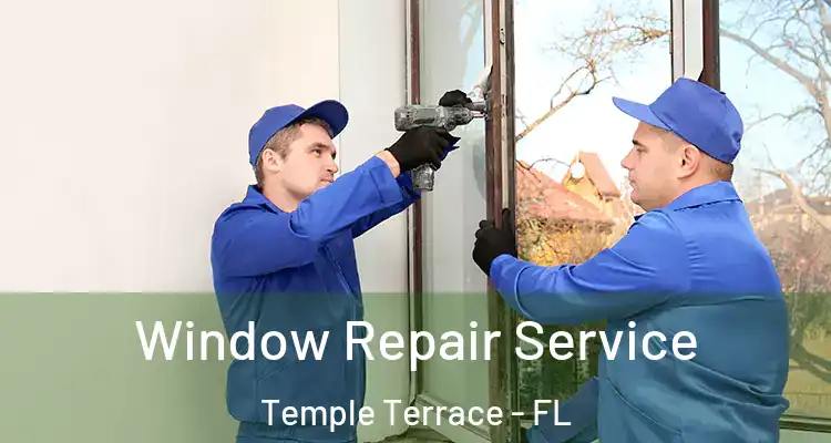 Window Repair Service Temple Terrace - FL